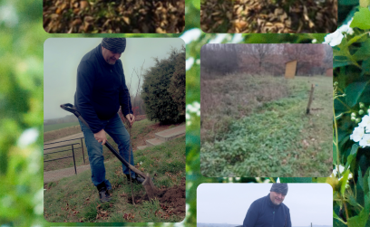 Rośliny miododajne otrzymane z Samorządu Województwa Podkarpackiego - Zasadzone!
