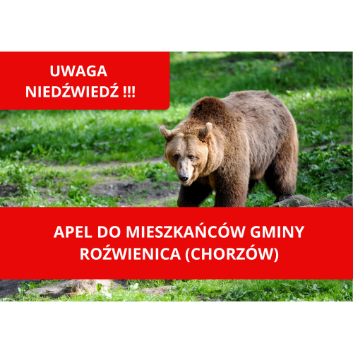Uwaga! Niedźwiedzie w rejonie Gminy Roźwienica – apel o ostrożność!