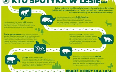 Uwaga! Niedźwiedzie w rejonie Gminy Roźwienica – apel o ostrożność! Uwaga! Niedźwiedzie w rejonie Gminy Roźwienica – apel o ostrożność!