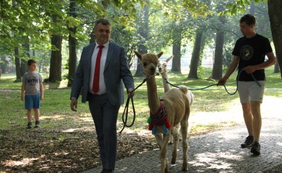 Roźwienicki Park Rozbrzmiał Śmiechem – Bajeczny Gminny Dzień Dziecka!