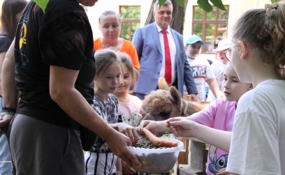 Roźwienicki Park Rozbrzmiał Śmiechem – Bajeczny Gminny Dzień Dziecka!