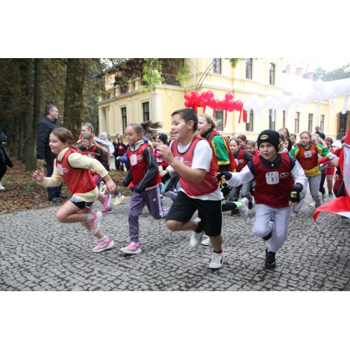 Gminny Bieg Orląt Lwowskich w Roźwienicy – pamięć, historia i sportowe emocje!