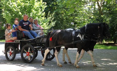 Klasyka motoryzacji zawitała do Roźwienicy! 