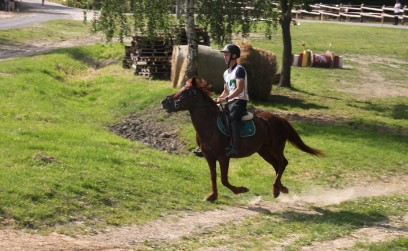 Ścieżka Huculska na Śmidowej – święto koni i tradycji w Chorzowie za nami!