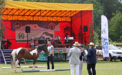 Ścieżka Huculska na Śmidowej – święto koni i tradycji w Chorzowie za nami!